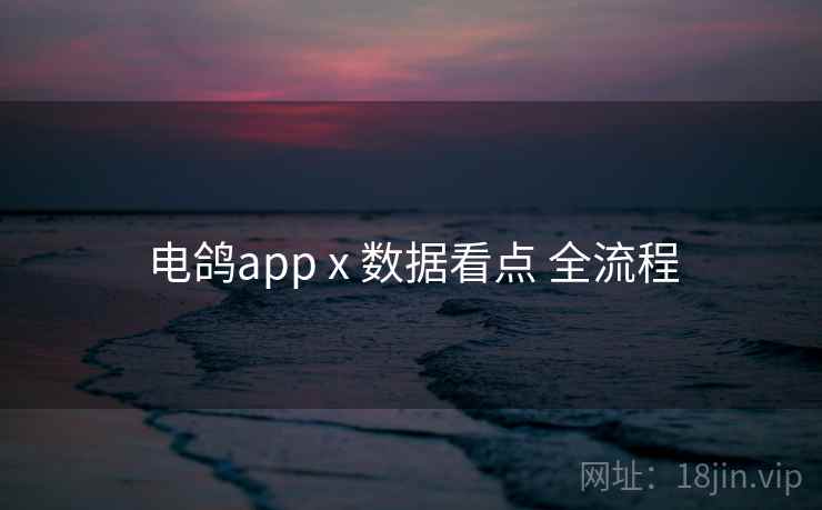 电鸽app x 数据看点 全流程