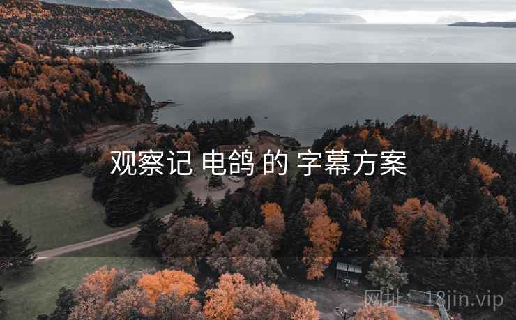 观察记 电鸽 的 字幕方案