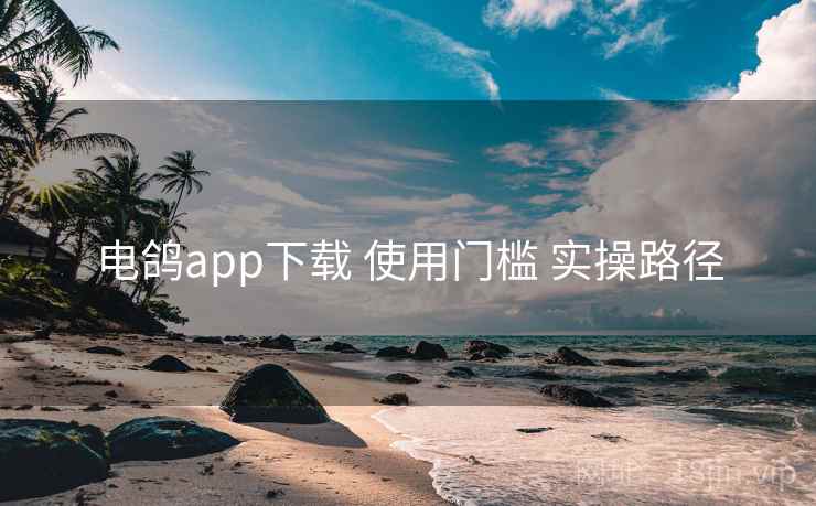 电鸽app下载 使用门槛 实操路径