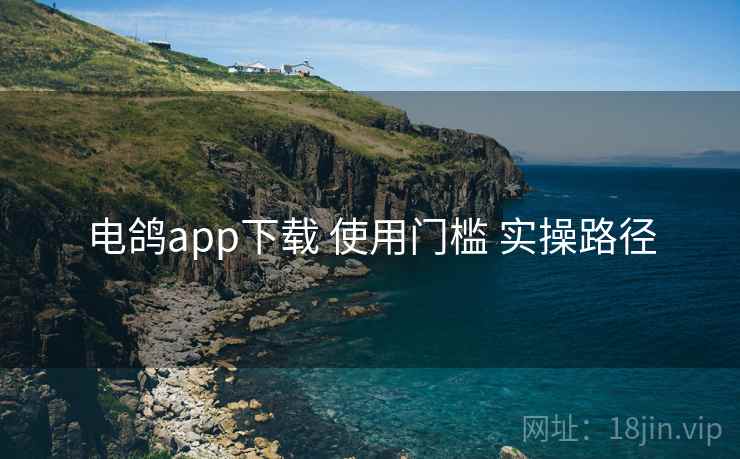 电鸽app下载 使用门槛 实操路径