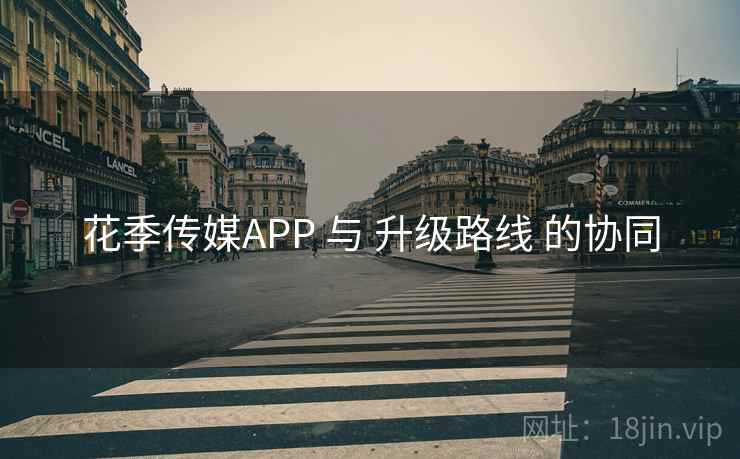 花季传媒APP 与 升级路线 的协同 花季传媒APP 与 升级路线 的协同
