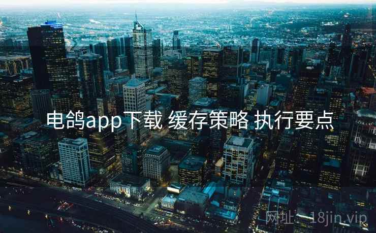电鸽app下载 缓存策略 执行要点 电鸽app下载 缓存策略 执行要点